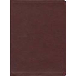 The Message Bible [Large Print Leather Look]